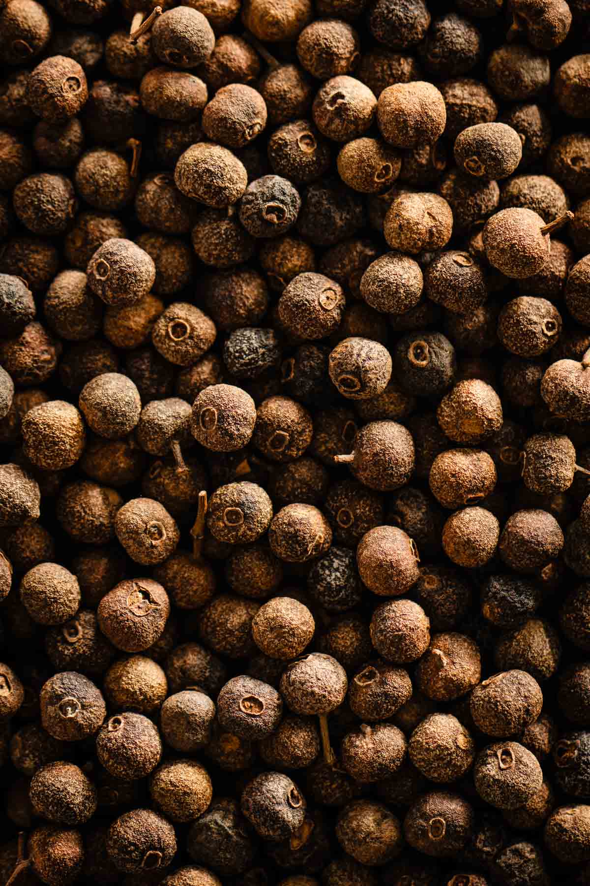 allspice closeup