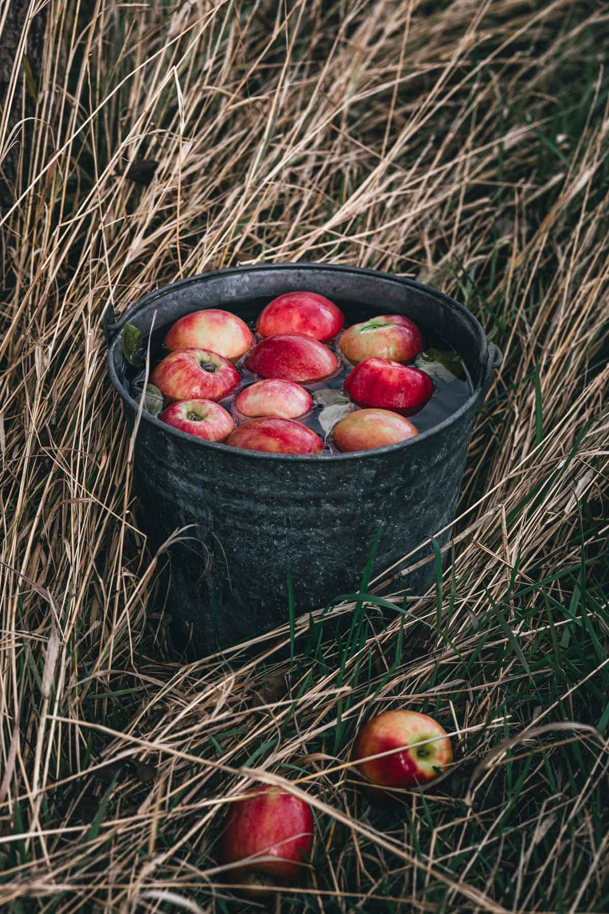 apples in a metal basket
