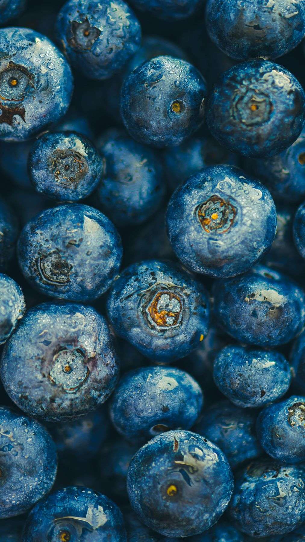 close up of blueberries