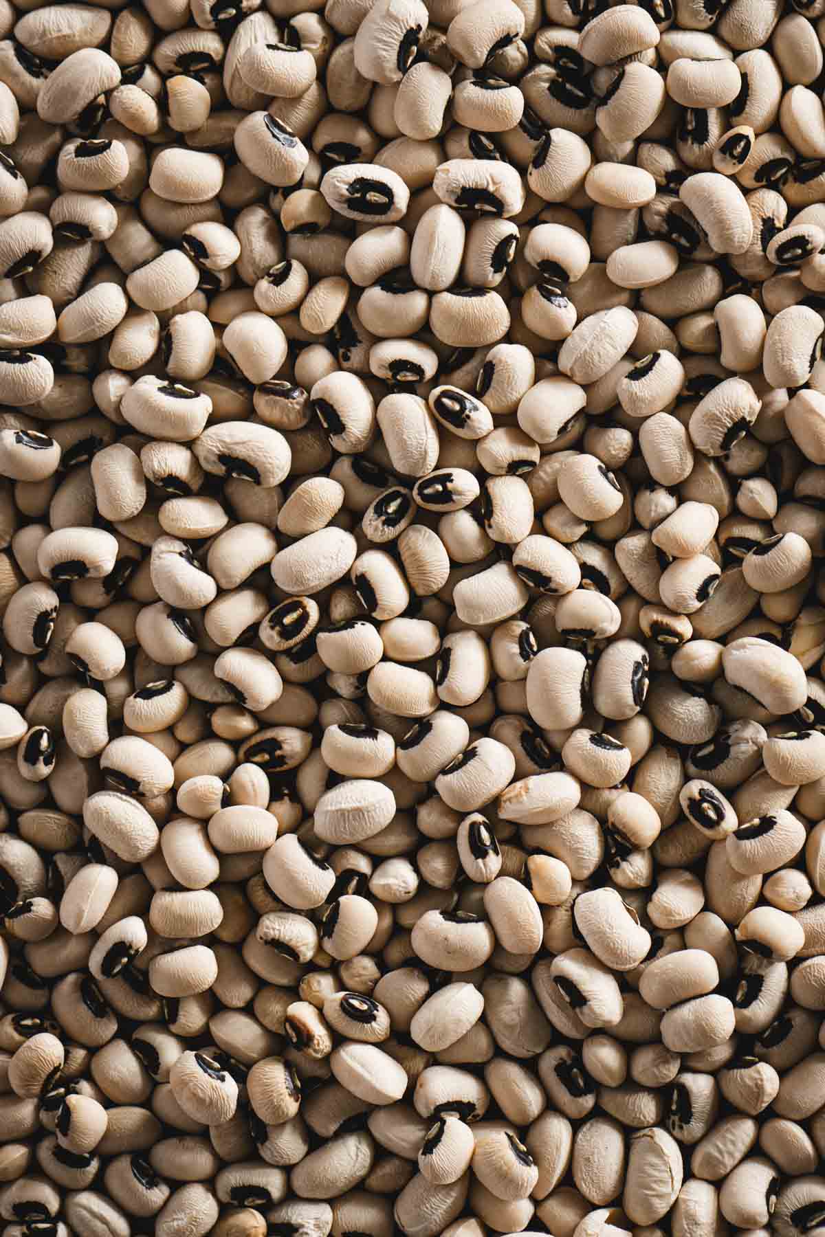 black eye peas close up