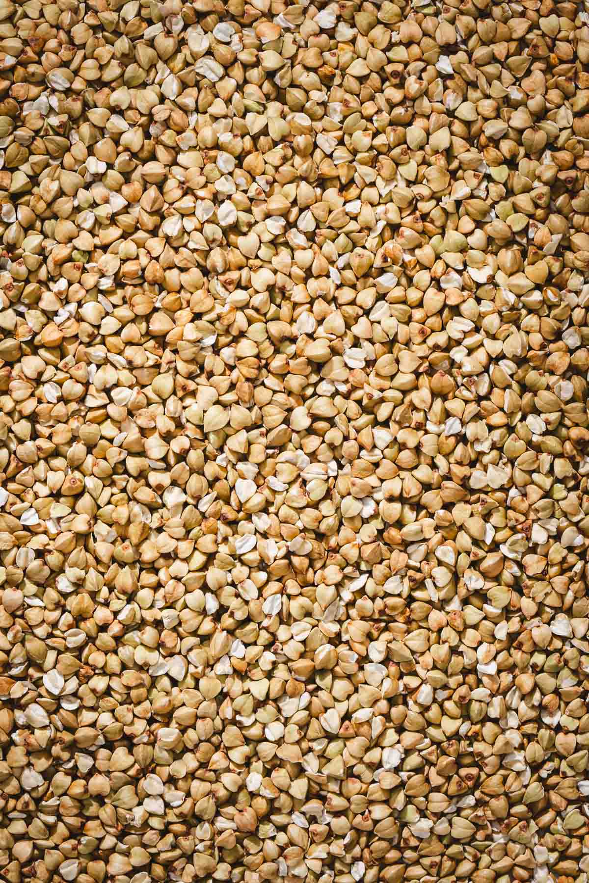 close up of untoasted buckwheat groats