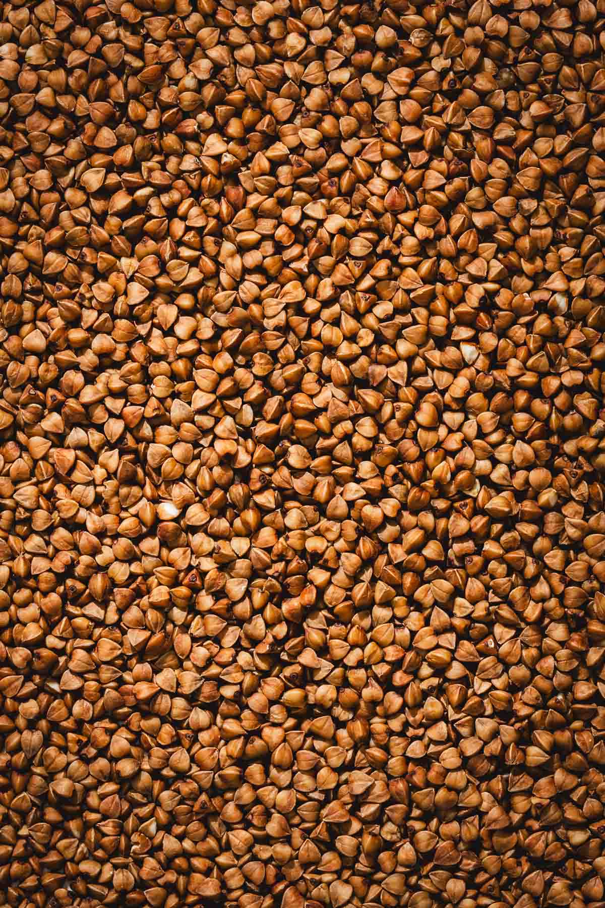 close up of toasted buckwheat groats