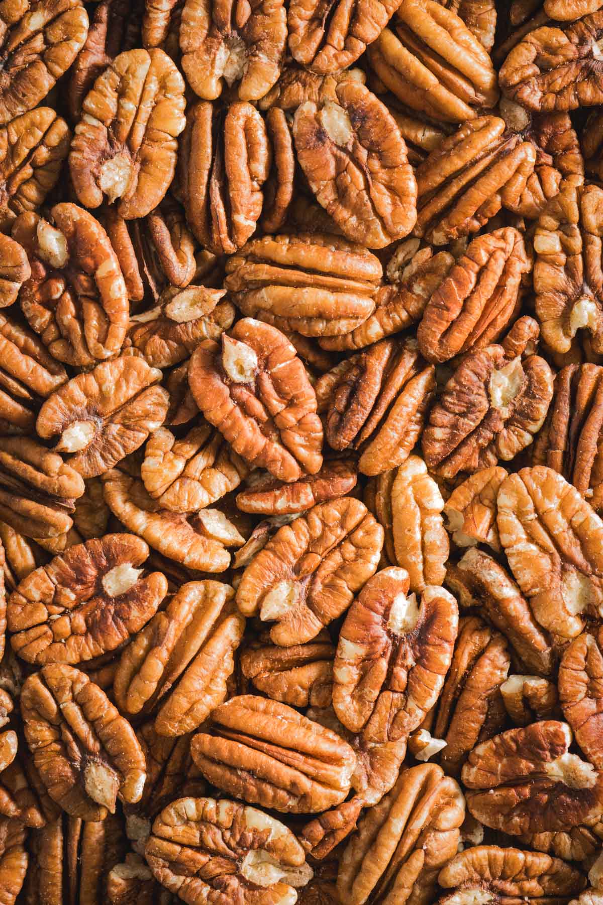 pecans close up