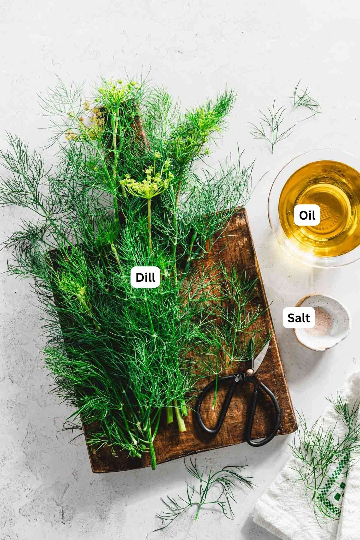 ingredients to make Fresh Dill Oil with name tags