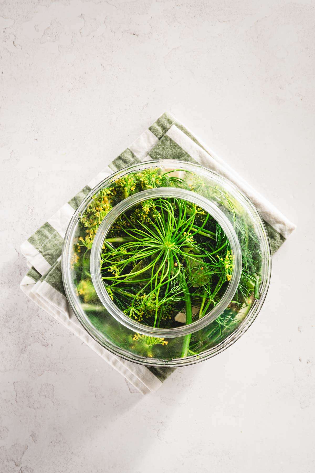 large glass jar with pickling cucumbers arranged inside, top view