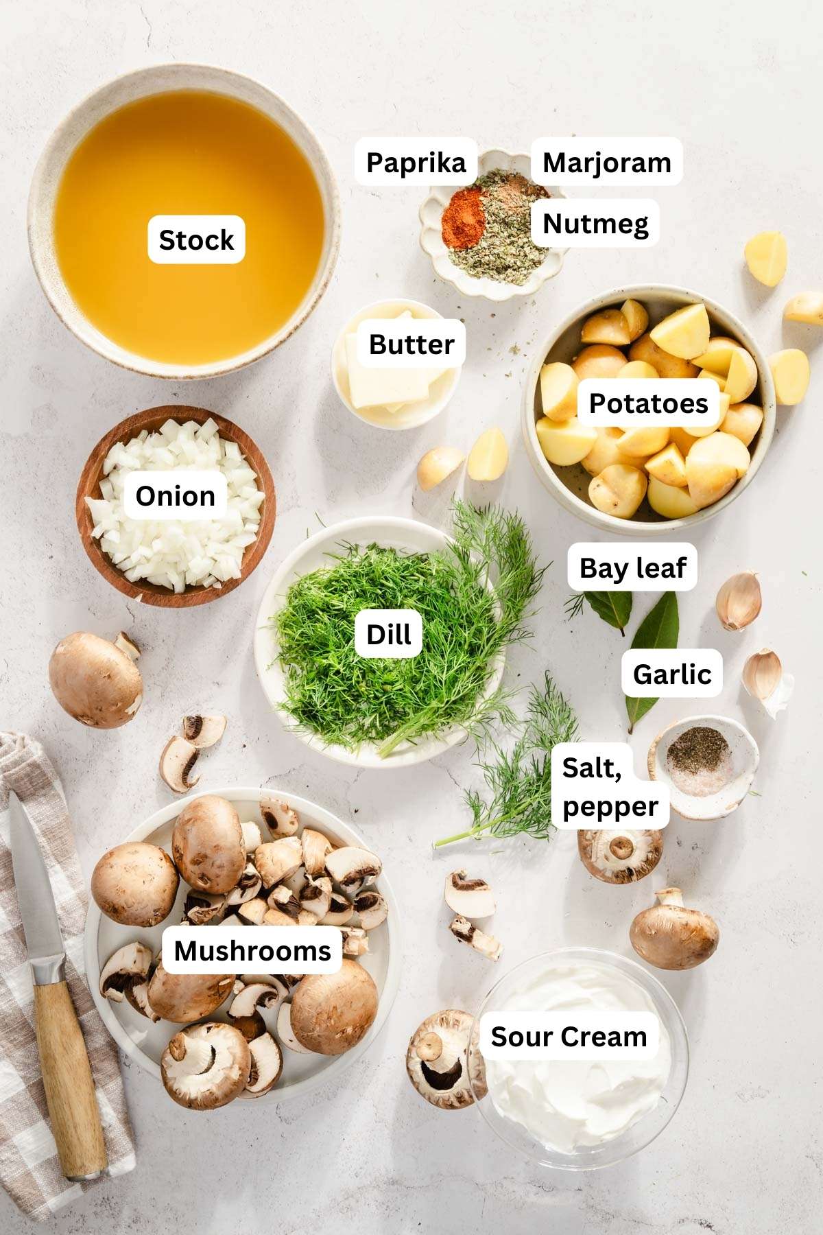 ingredients to make zupa koperkowa with name tags