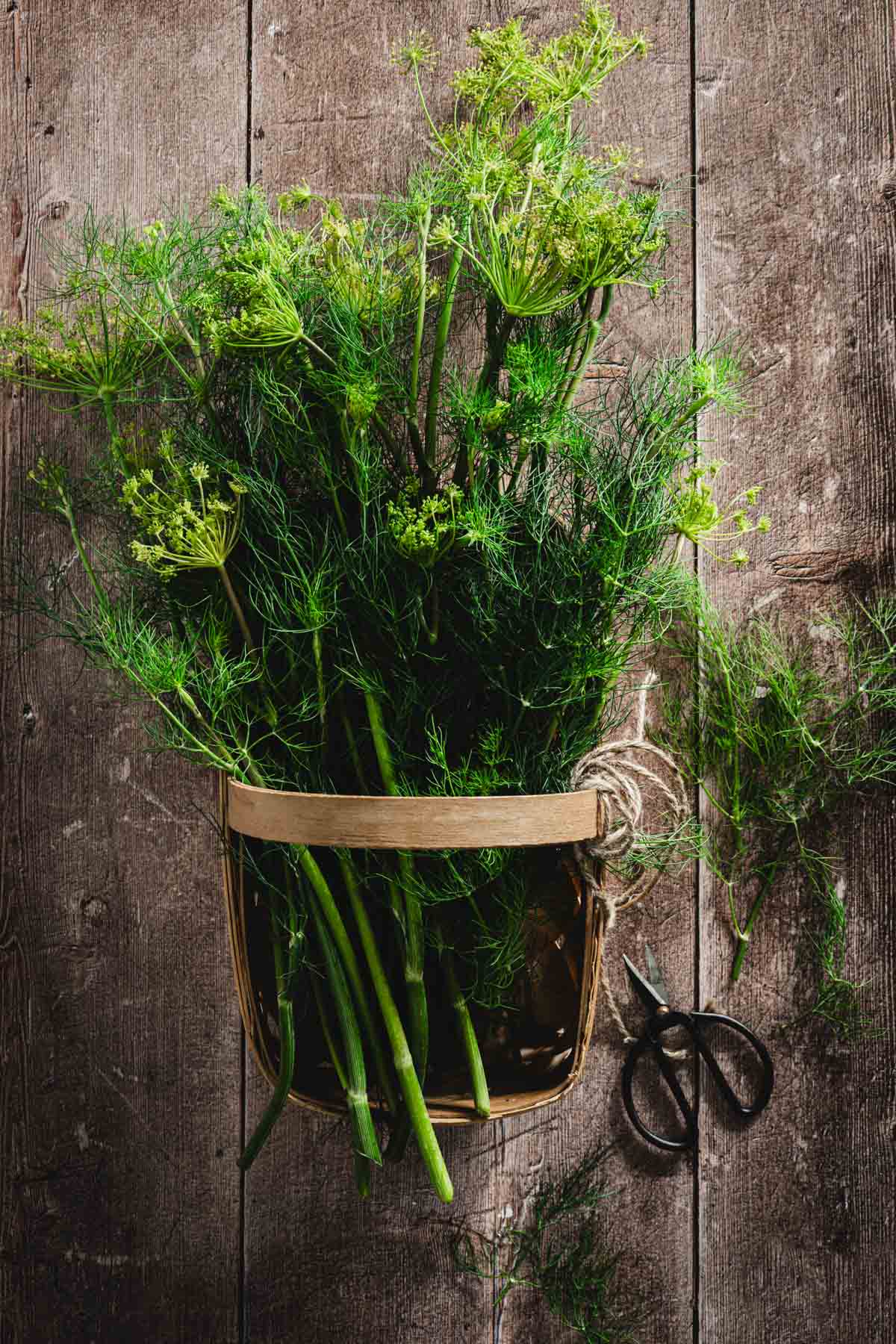 dill weed in a basket