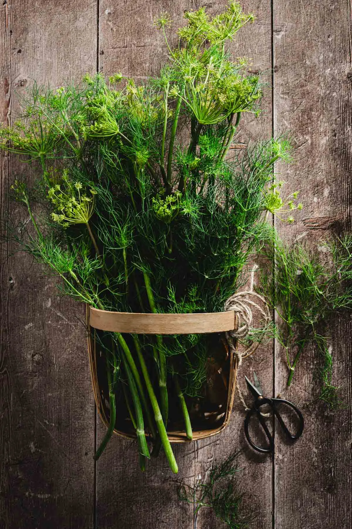 dill weed in a basket