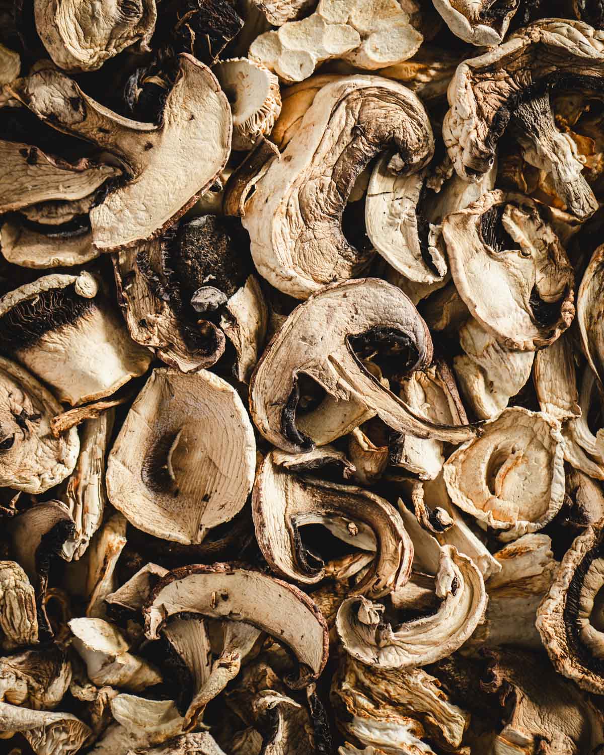 Dried Mushrooms close up