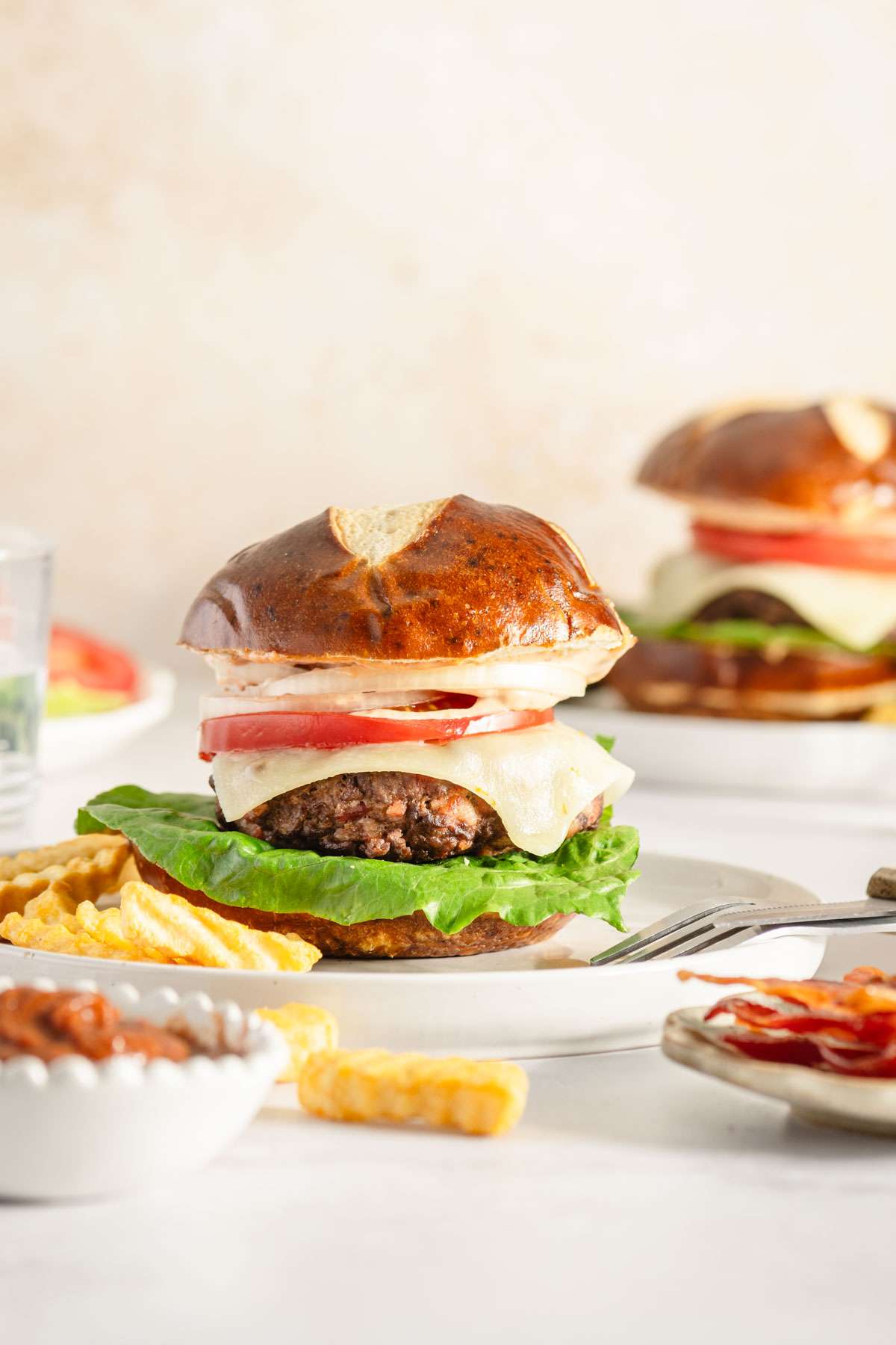 elk burger on a plate, dish with ketchup, fries scattered