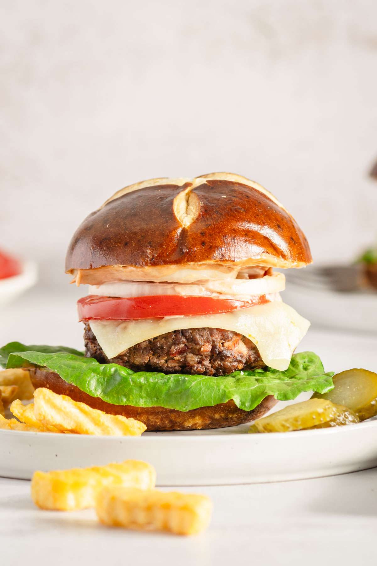 close up of an elk burger on a plate