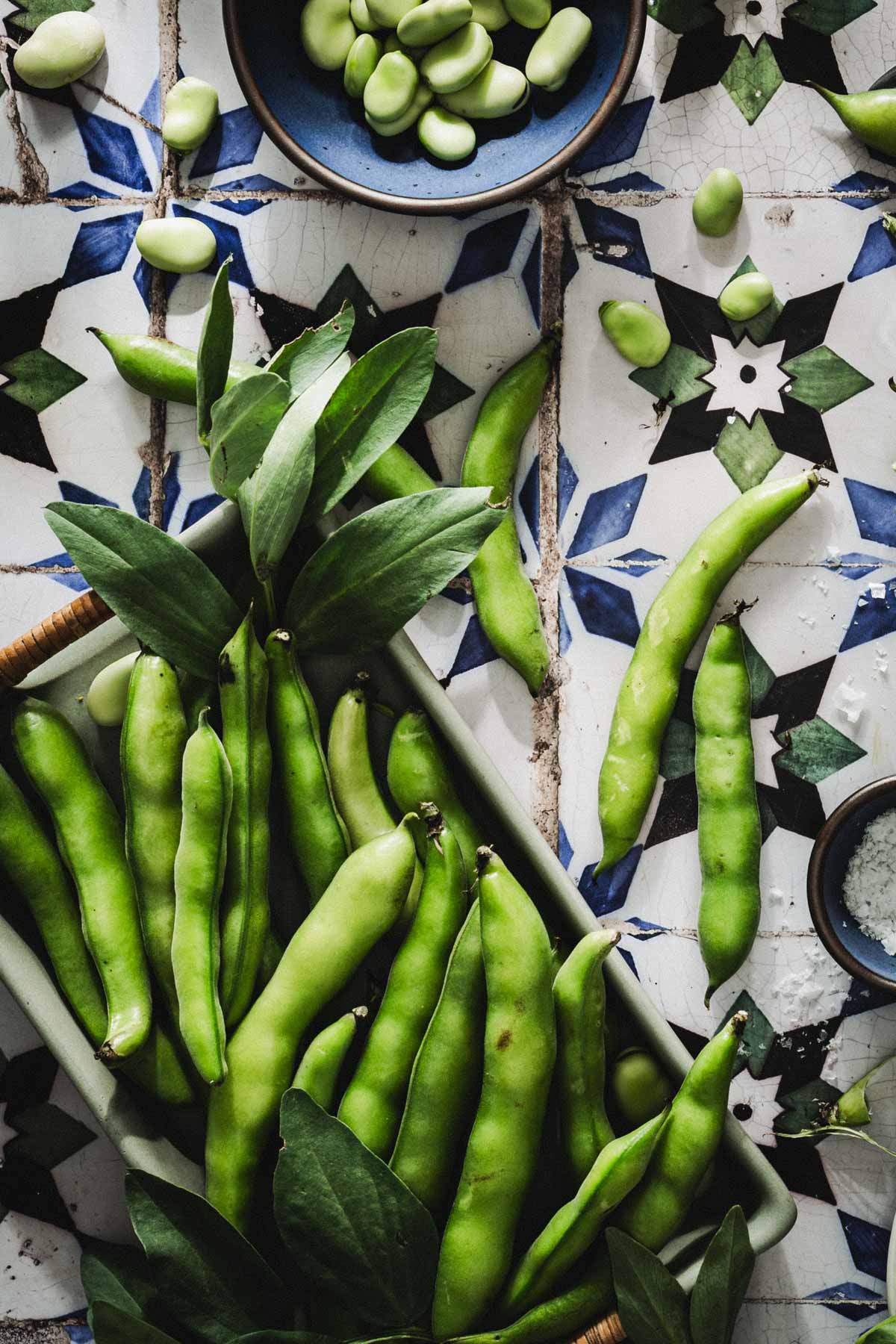 close up of fava beans