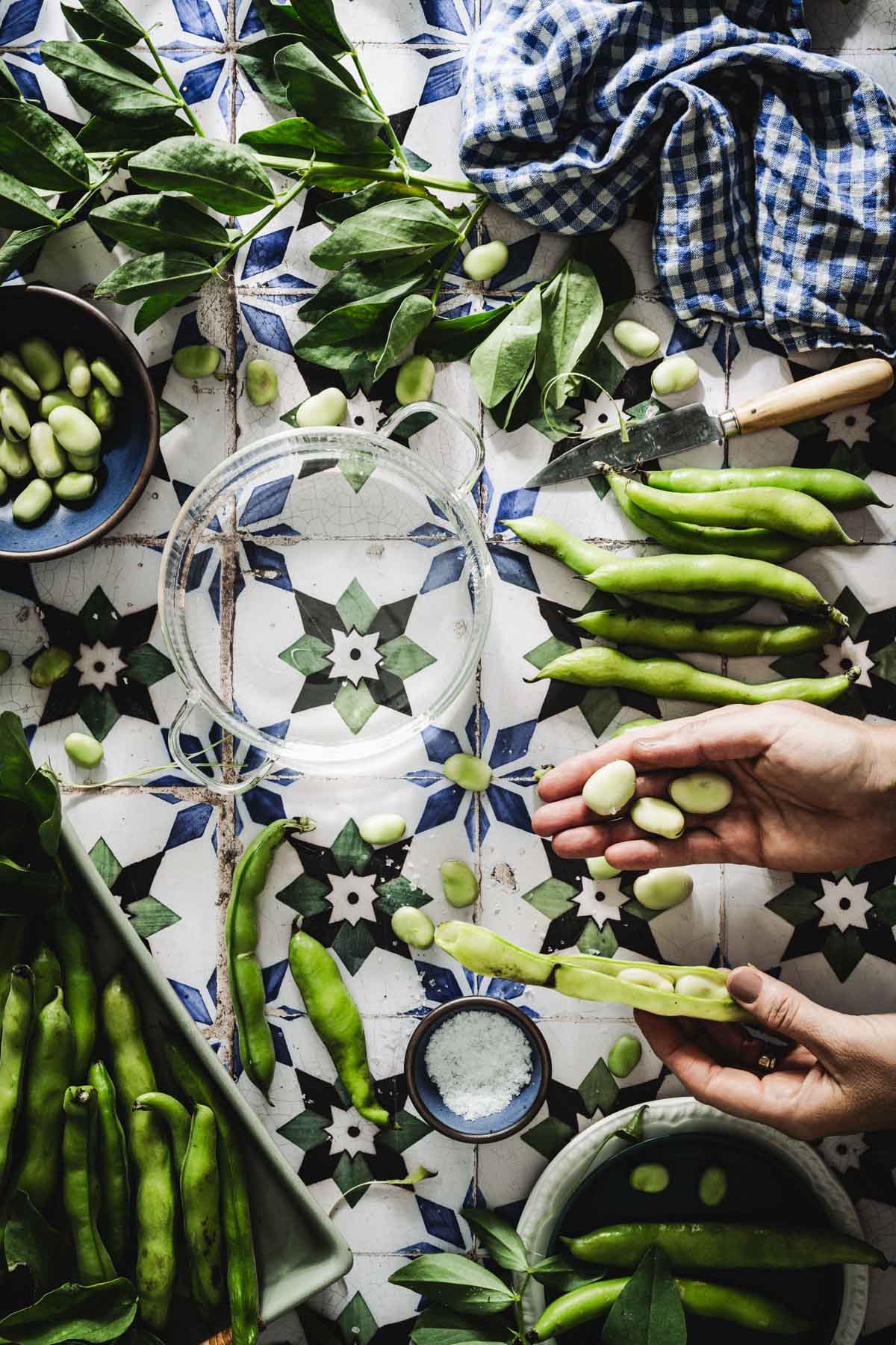 hands in frame holding fava bean pod