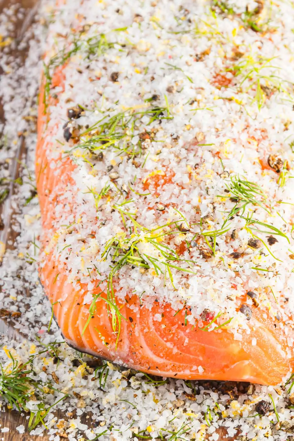 close up of salmon covered in cure