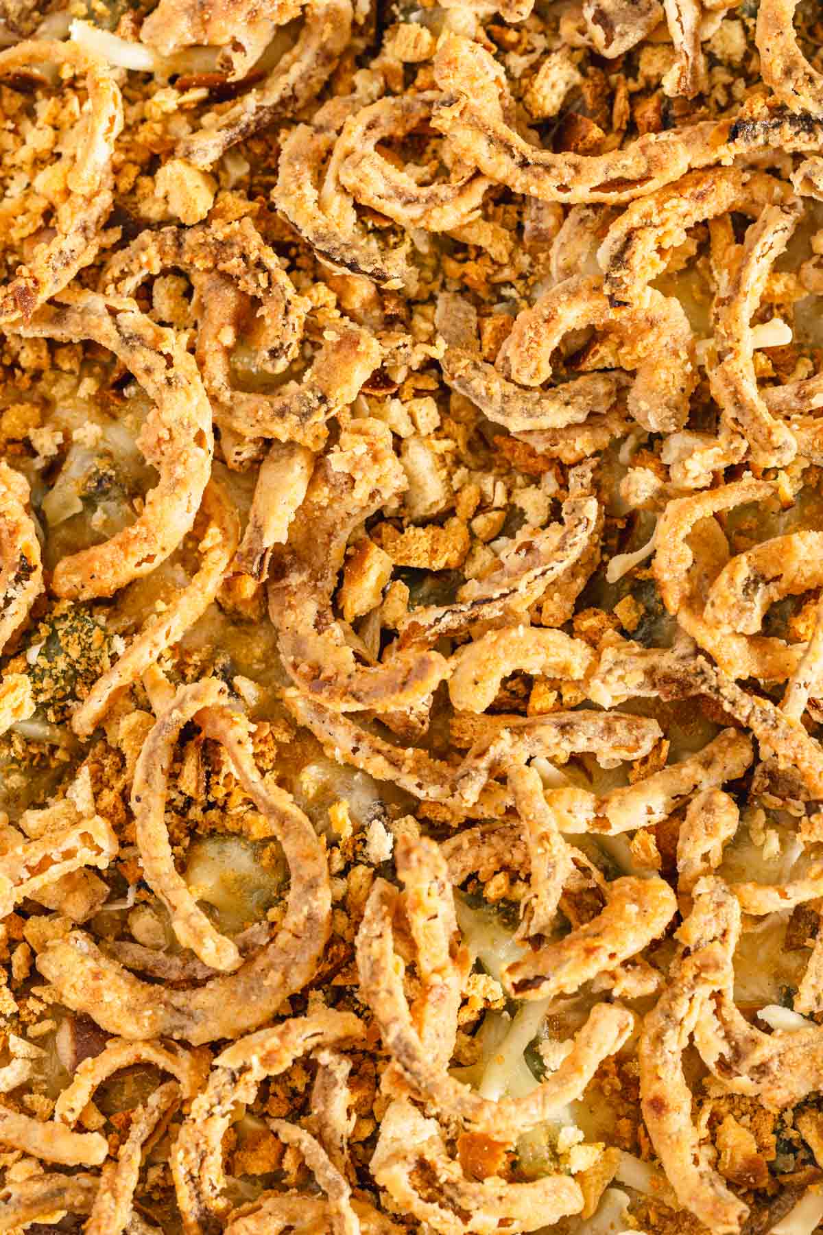 close up of the crispy onions