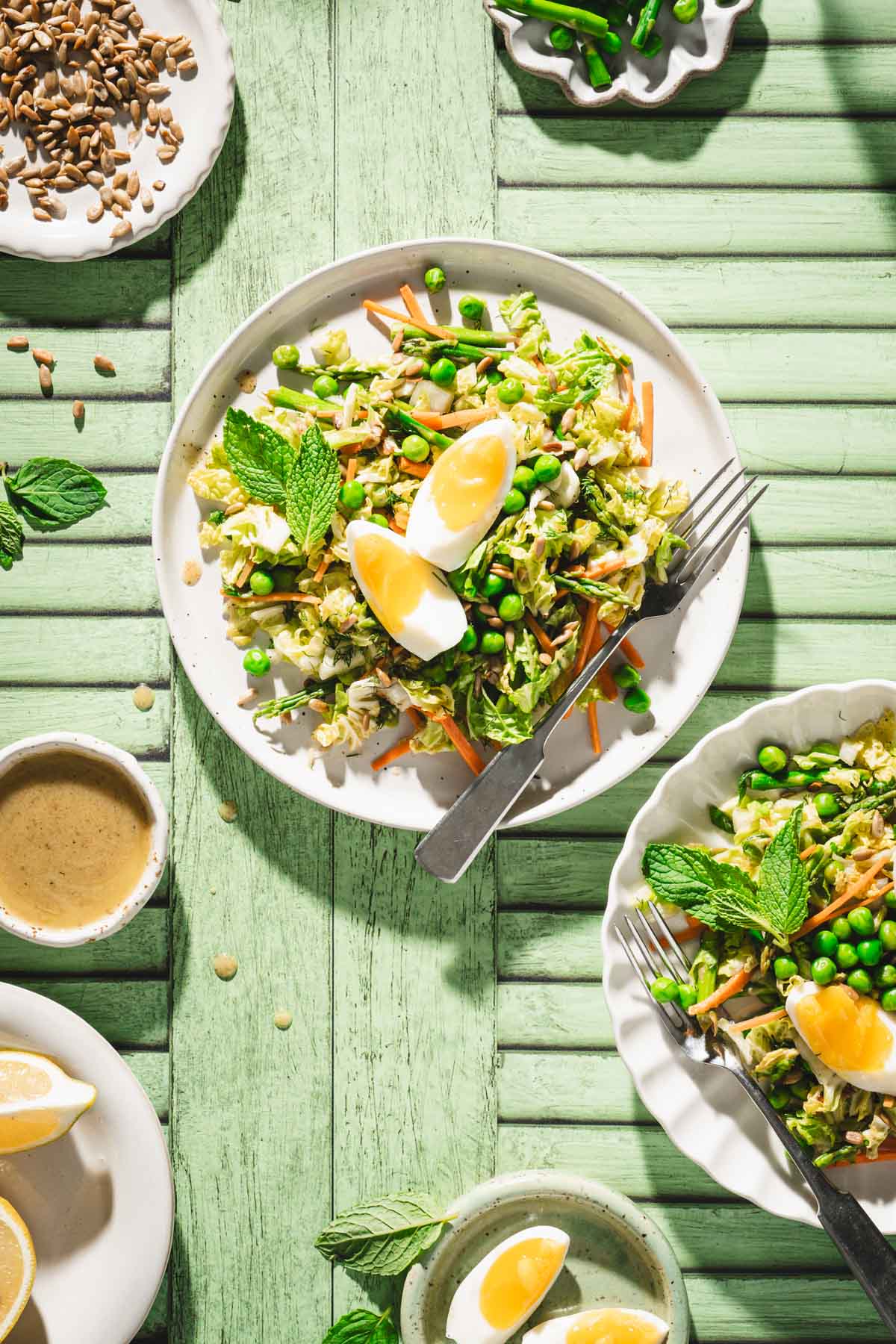 green background, close up of a plate with napa salad, dish with sauce