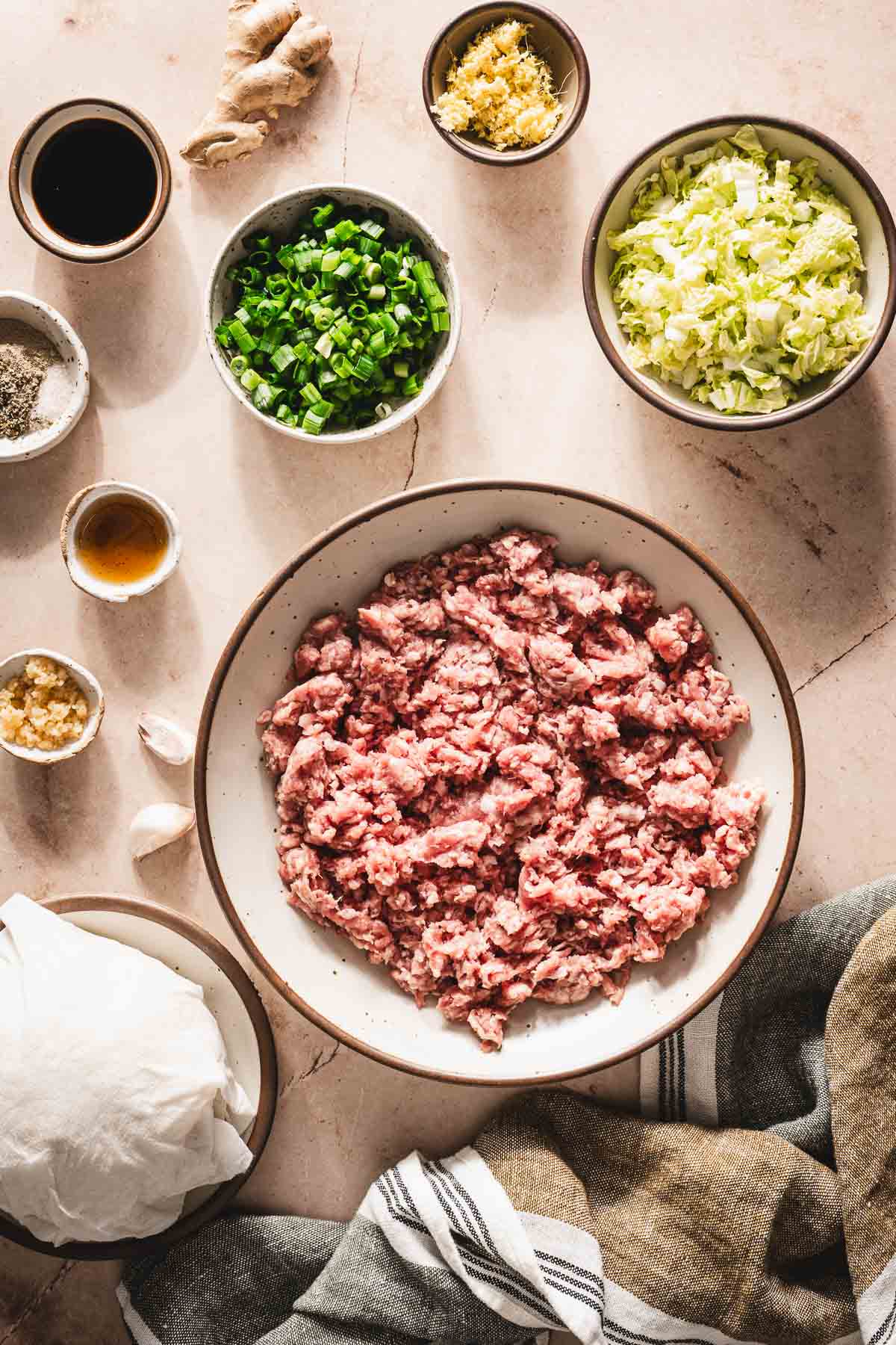 larg bowl with ground pork, other ing around