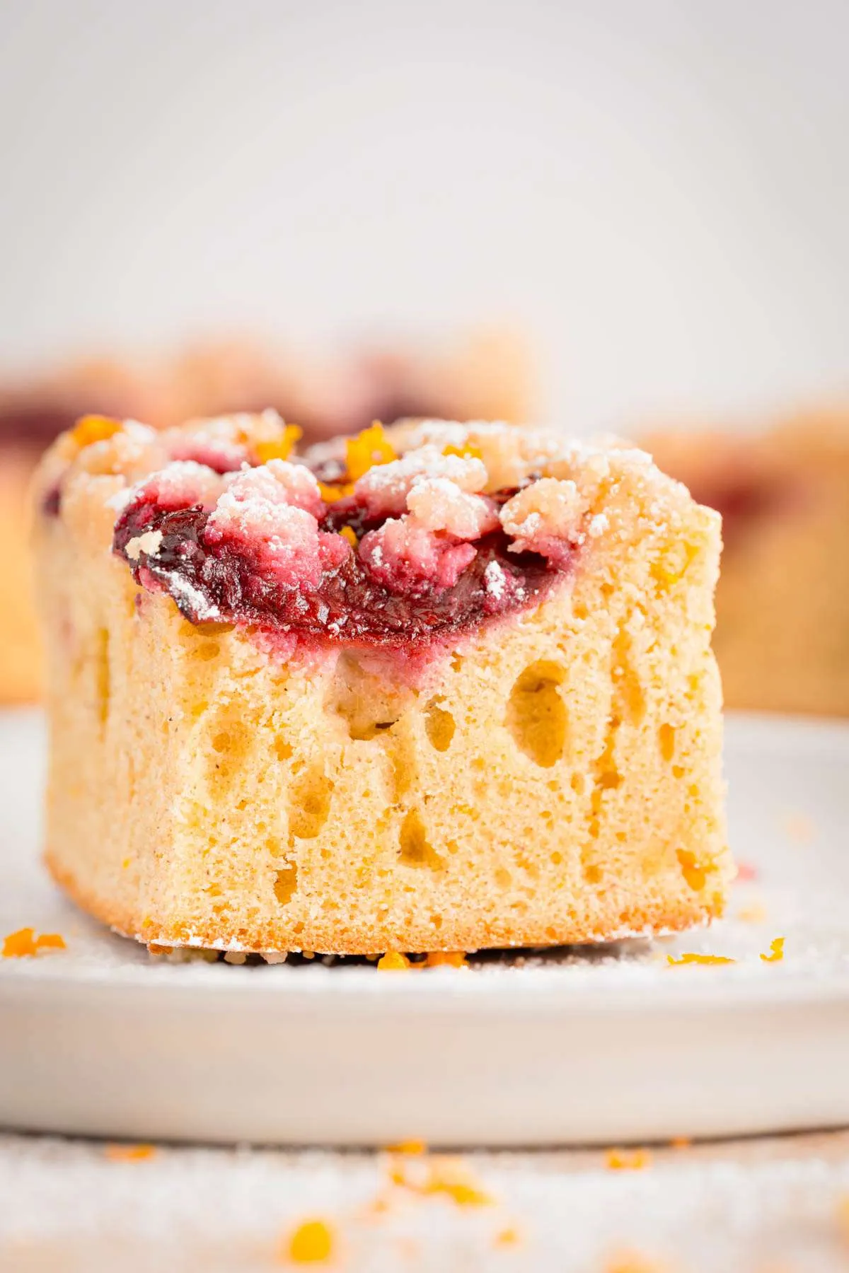slice of plum cake, close up