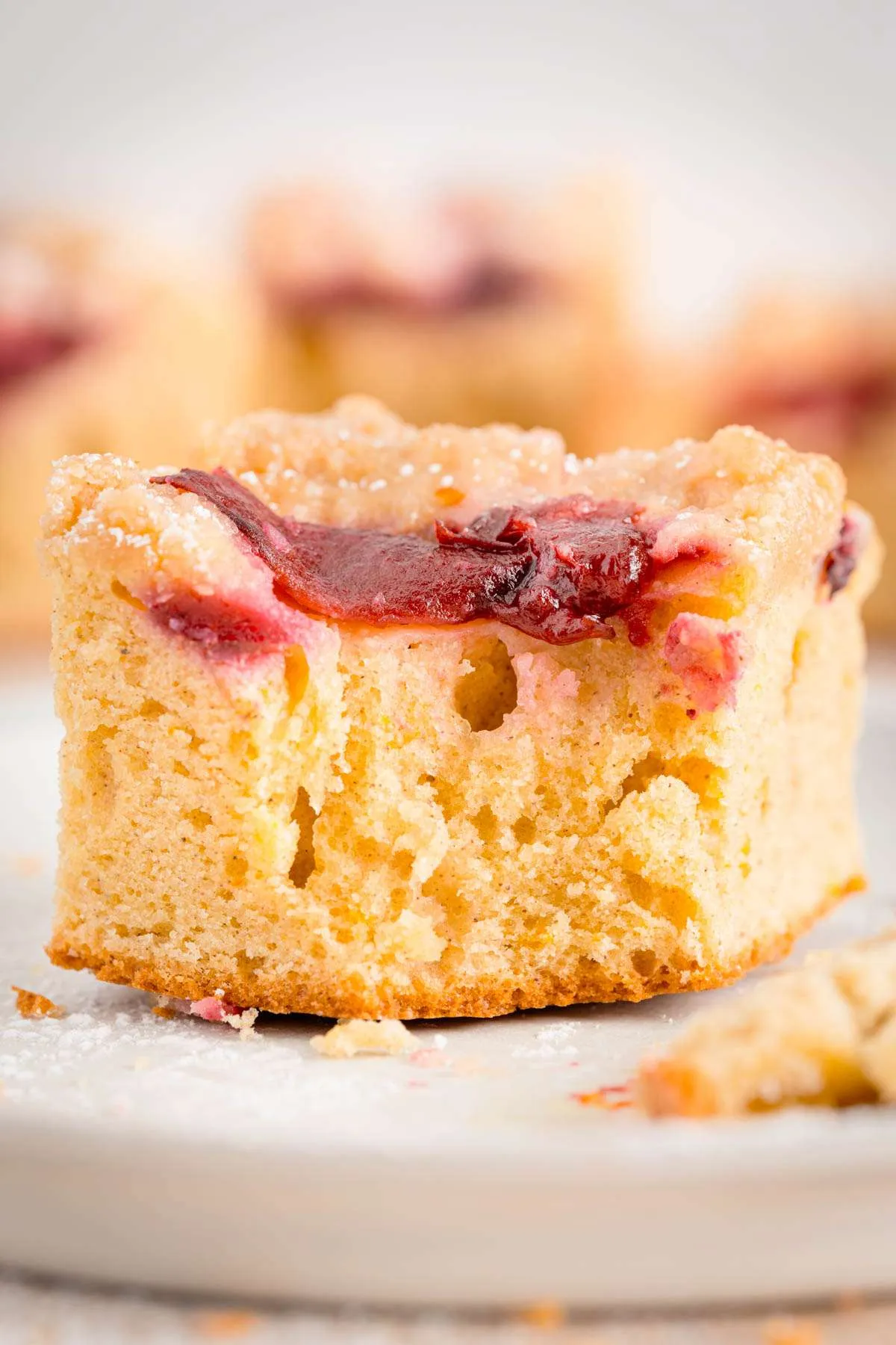 square of plum cake, close up with a bite