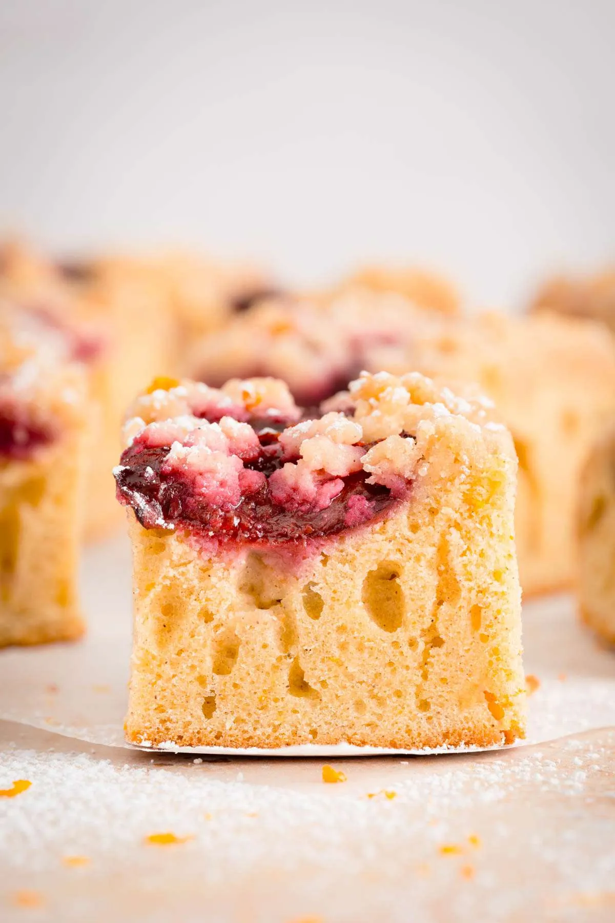 slice of plum cake, close up