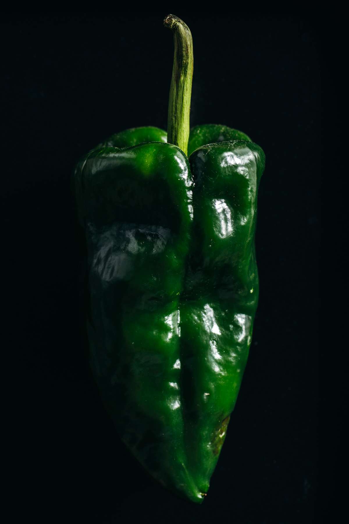 Fresh Poblano Pepper close up