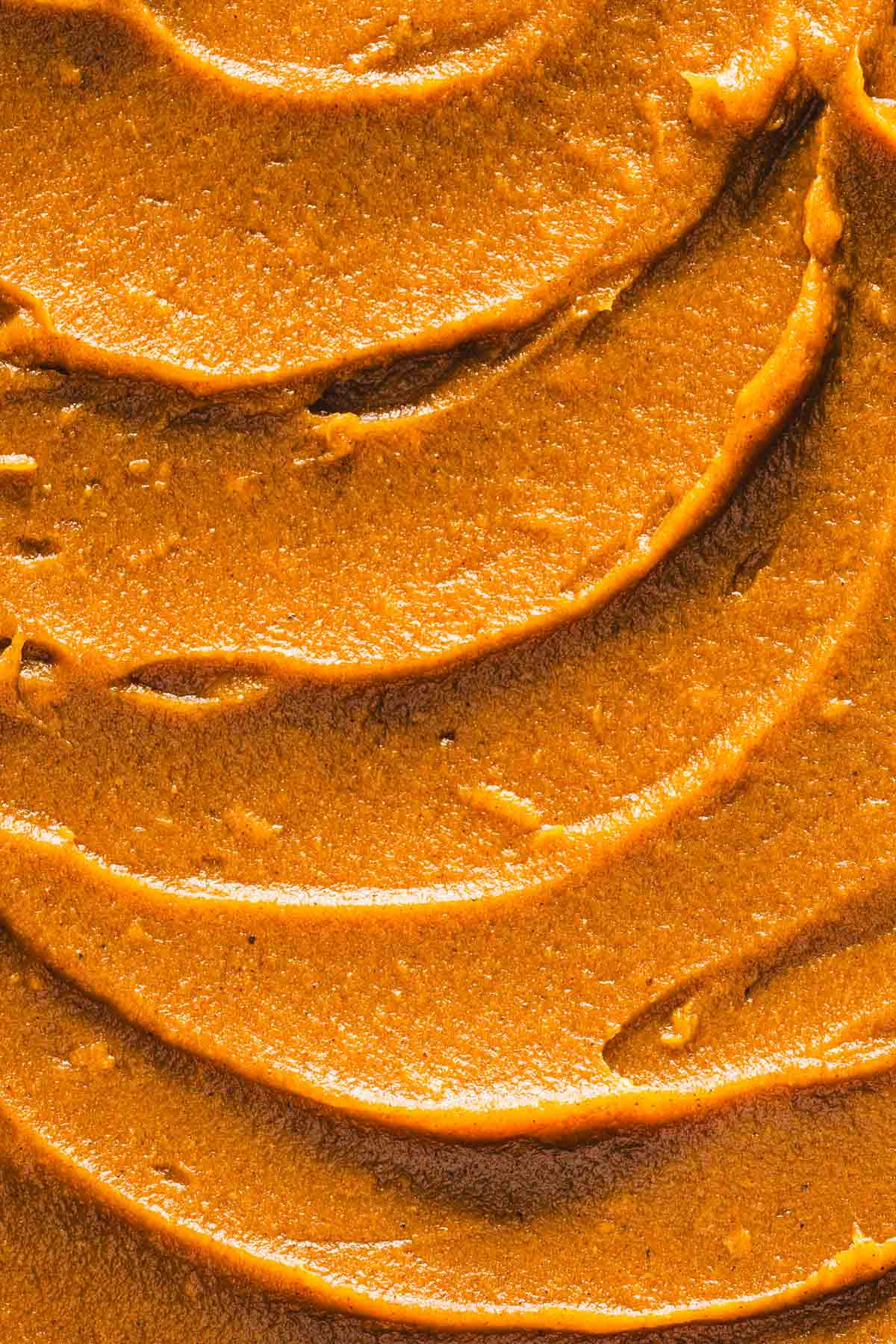 close up on pumpkin butter