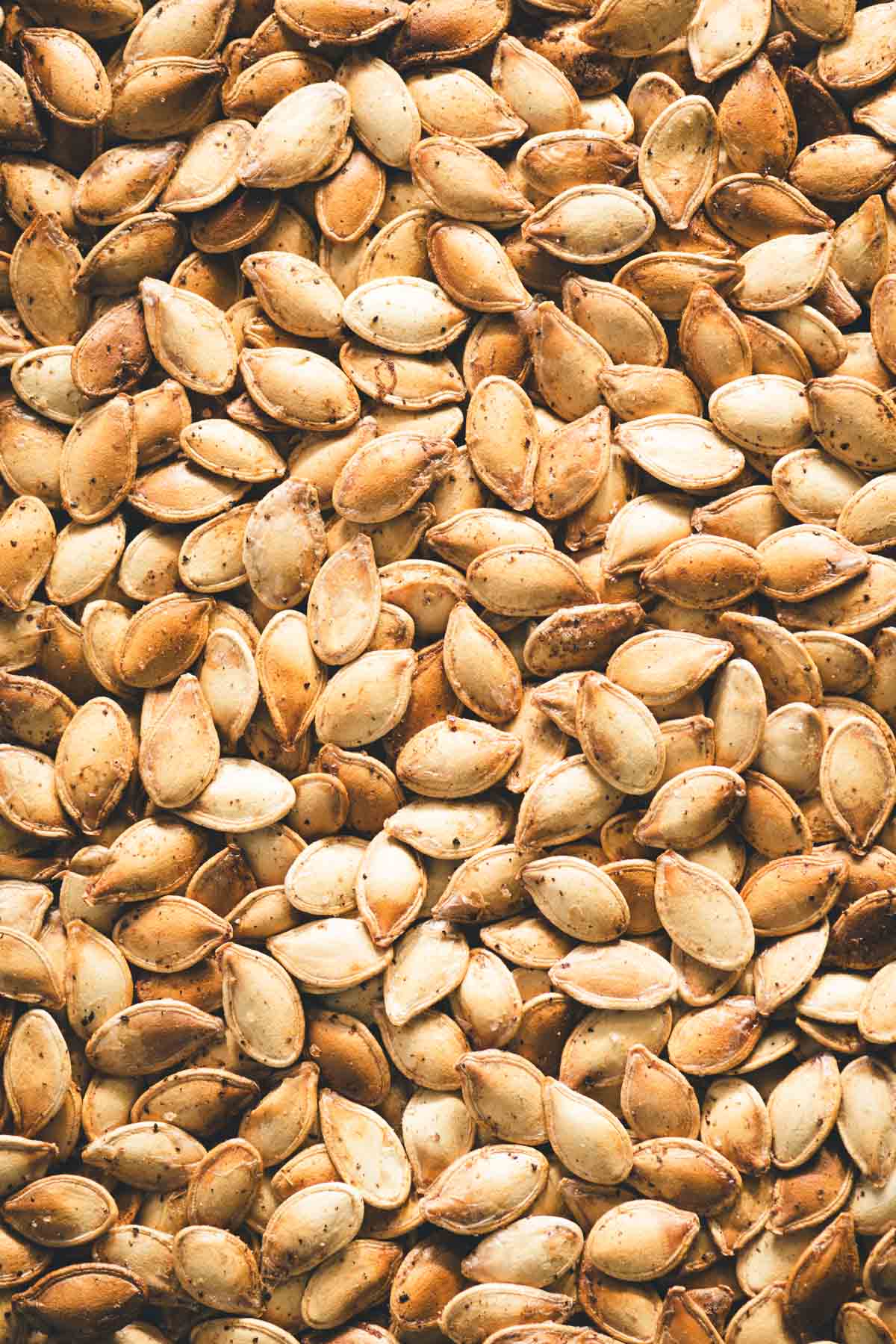 smoked pumpkin seeds, close up