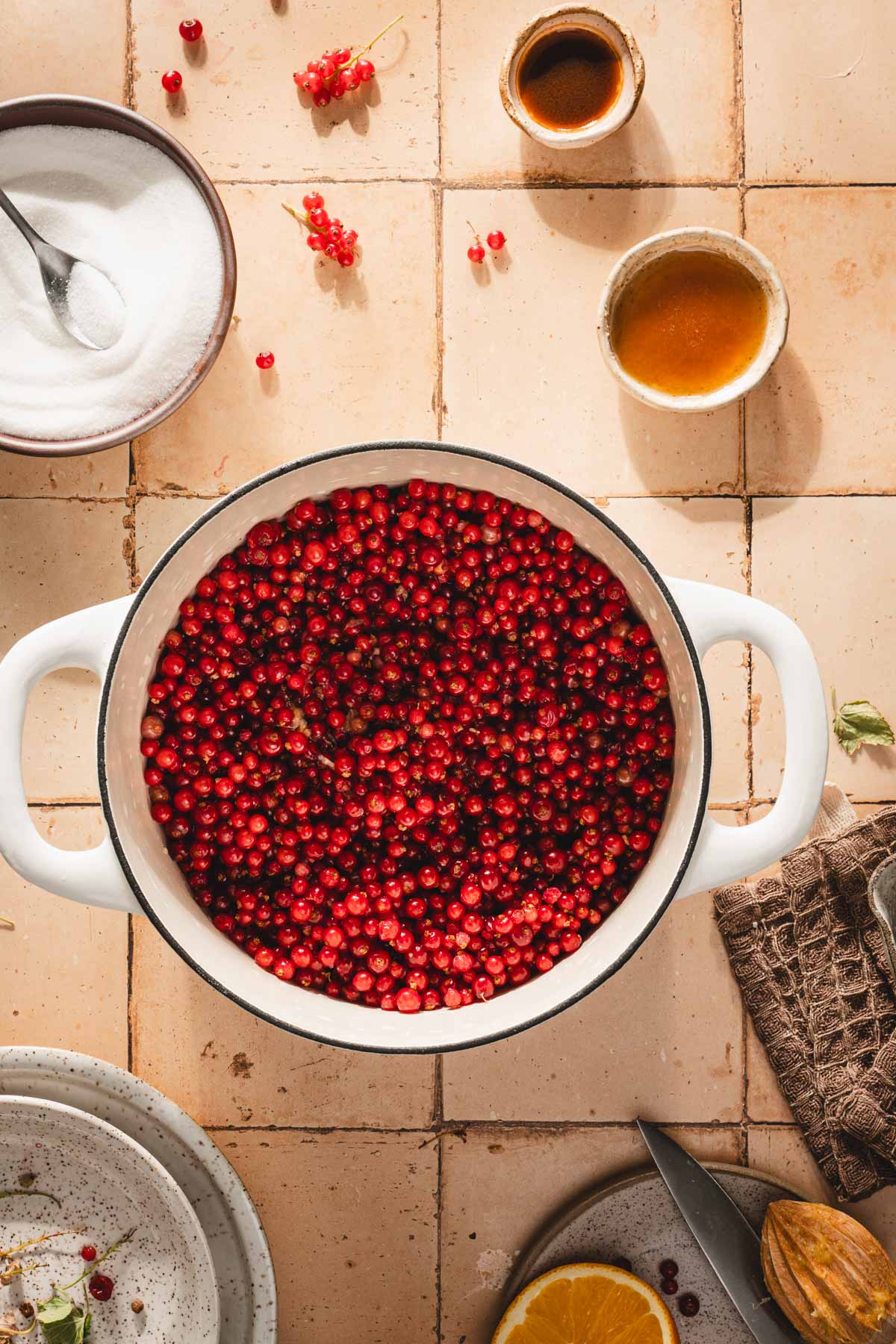 large pot with currants, water and juice added