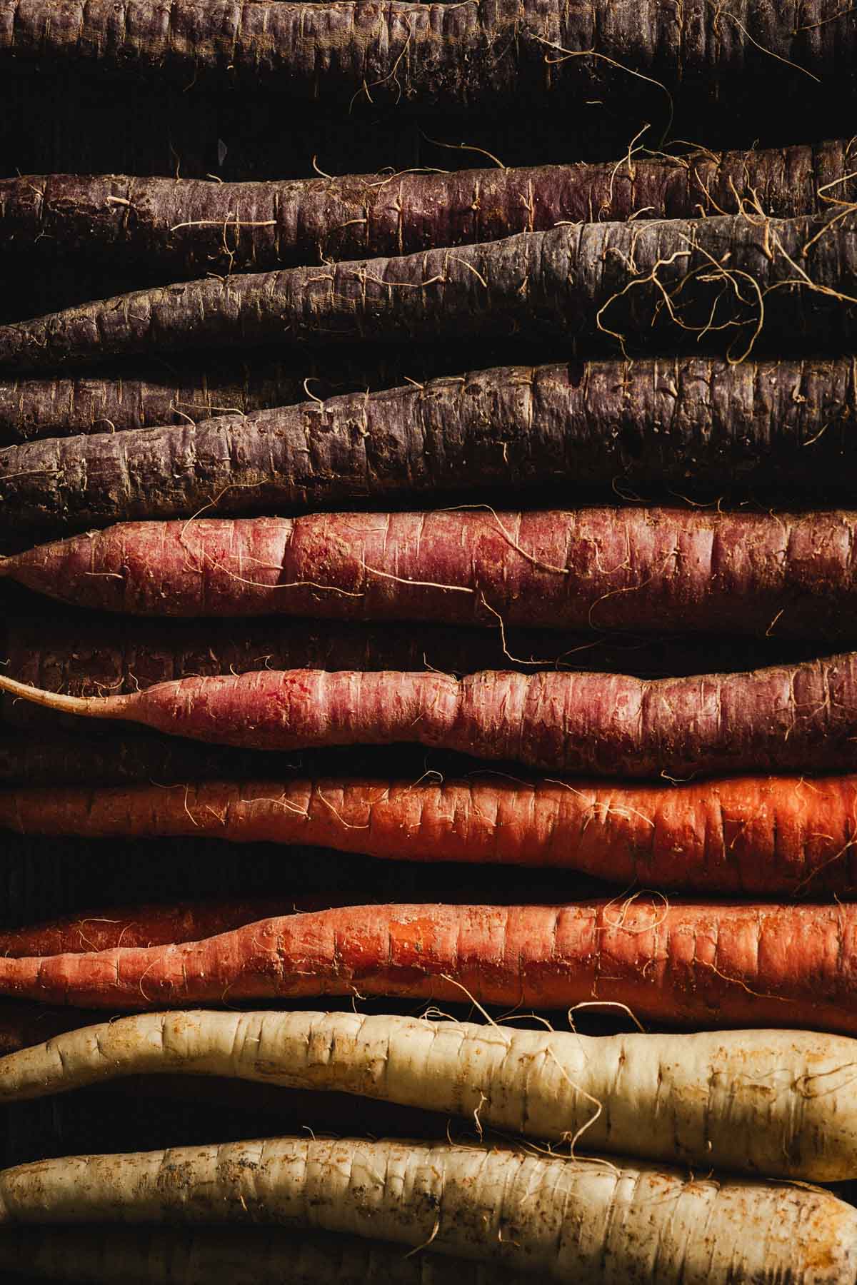 close up of the carrots