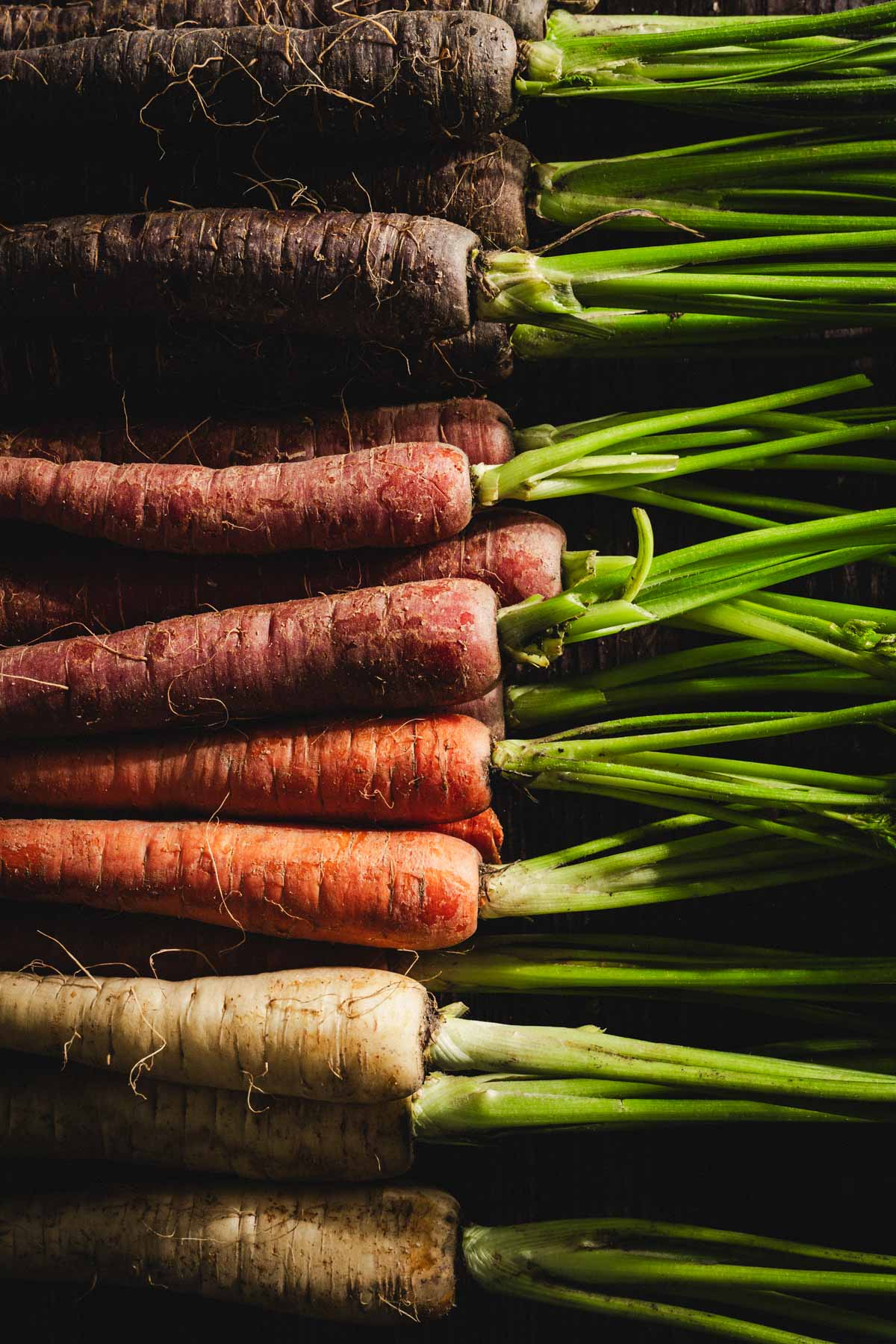 side view of raw rainbow carrots