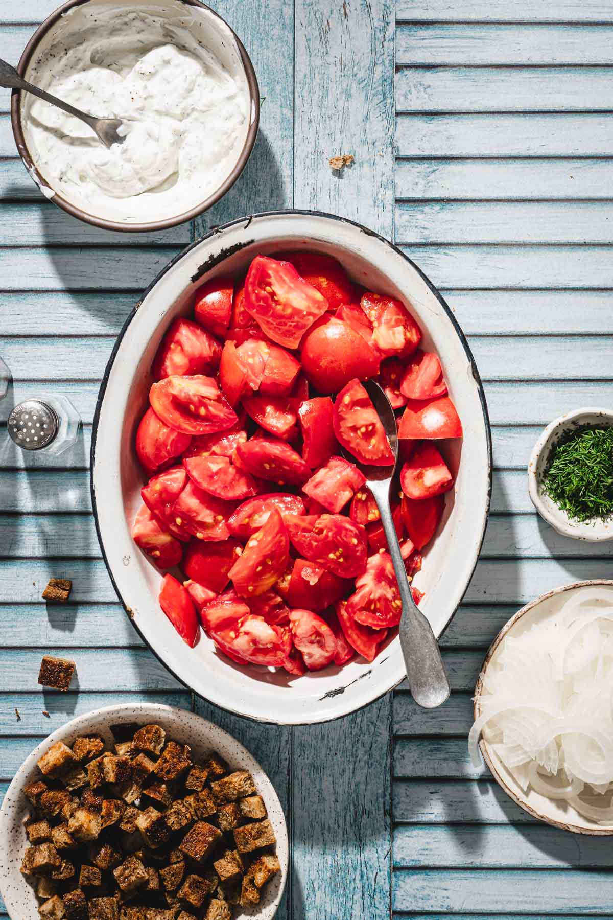 chopped and drained tomatoes in a dish, crutons, sliced onions, sauce