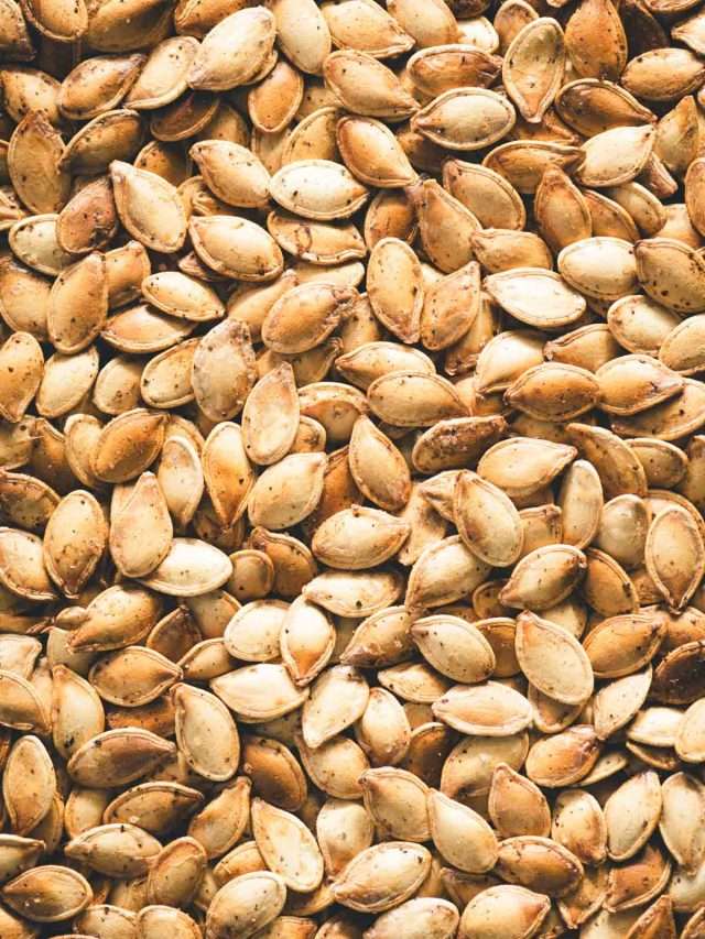 close up of pumpkin seeds